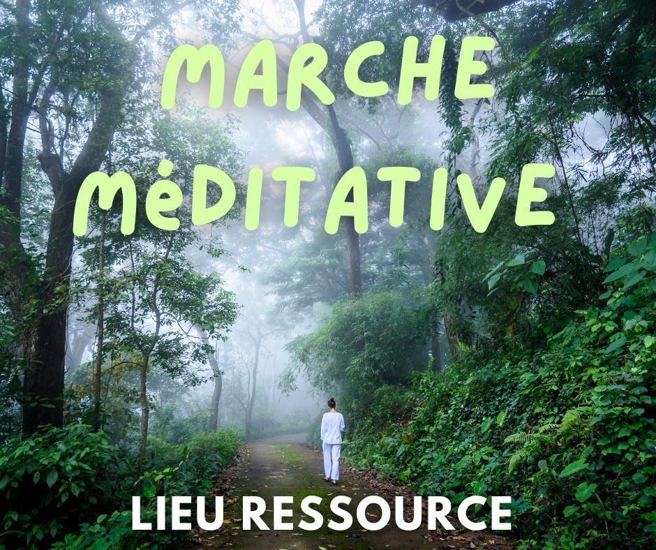 Marche méditative en forêt — Lieu Ressource