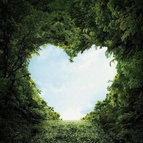 coeur paysage