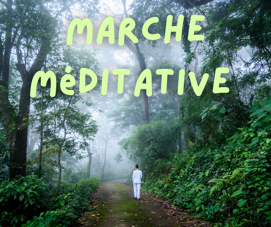 Marche méditative en forêt — Lieu Ressource